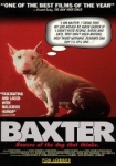 Baxter - Warnung vor dem Hund der denkt