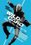 Wild Card 1